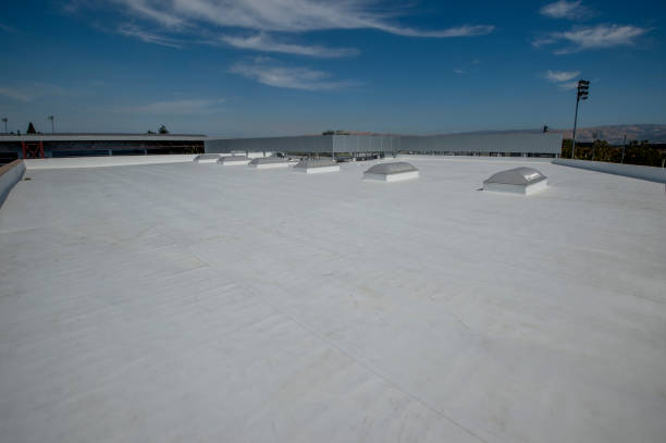 Best Roof Leak Repair  in Camp Swift, TX