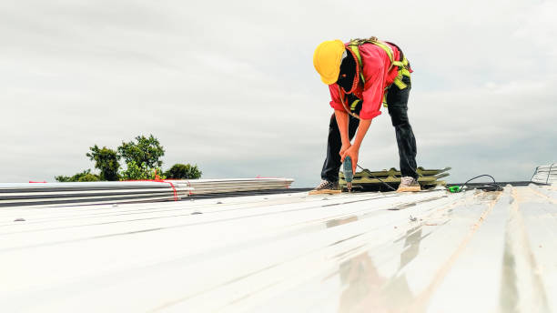 Best Metal Roofing Installation  in Camp Swift, TX