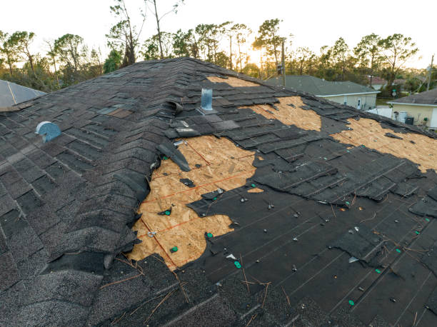 Best Slate Roofing  in Camp Swift, TX